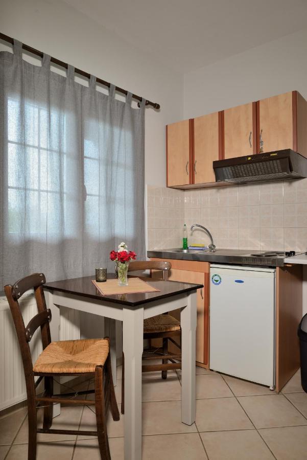 Artemis Apartments Konitsa Dış mekan fotoğraf