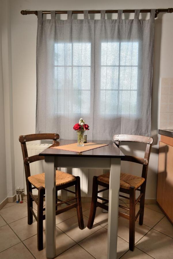 Artemis Apartments Konitsa Dış mekan fotoğraf