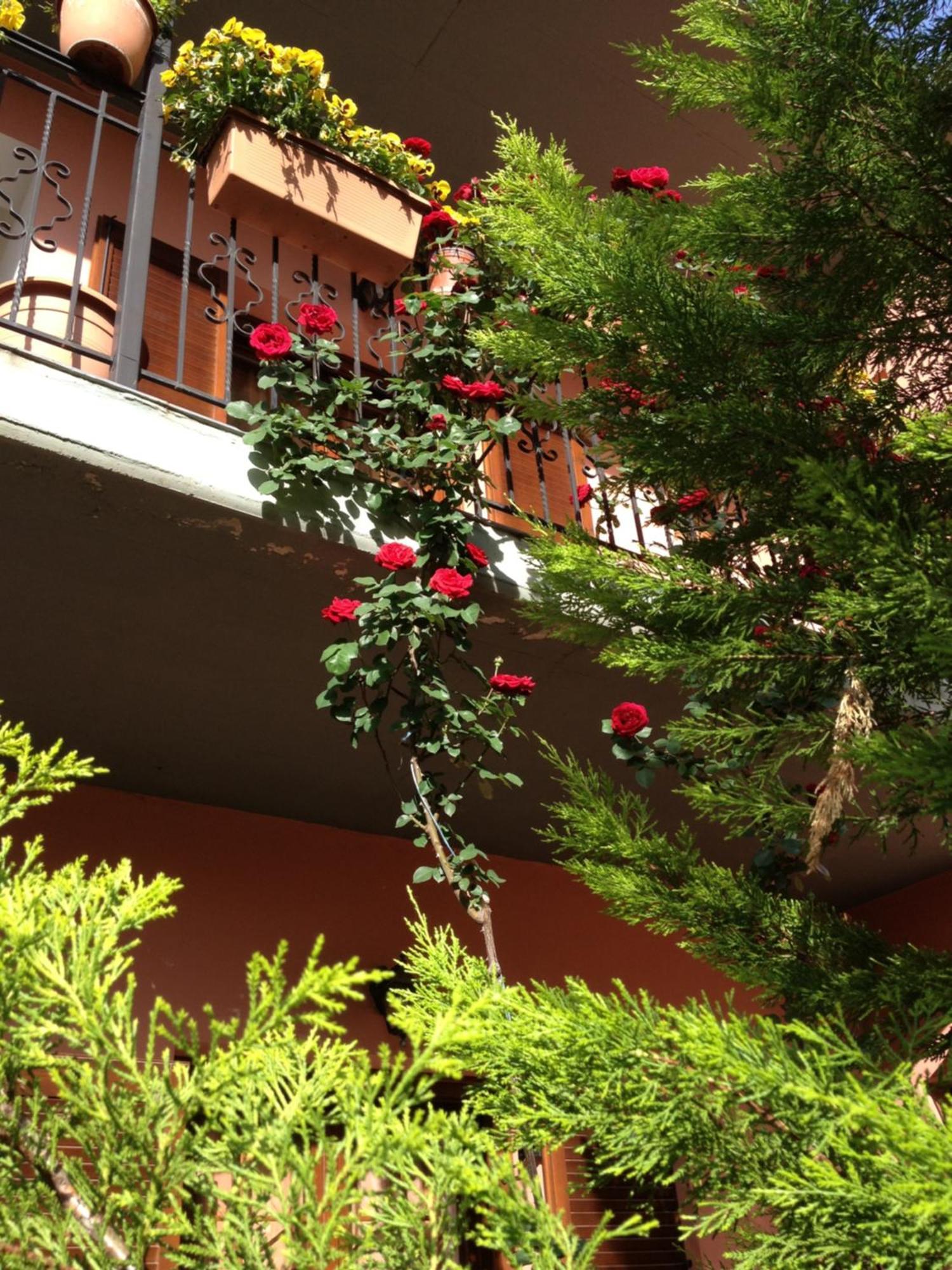 Artemis Apartments Konitsa Dış mekan fotoğraf