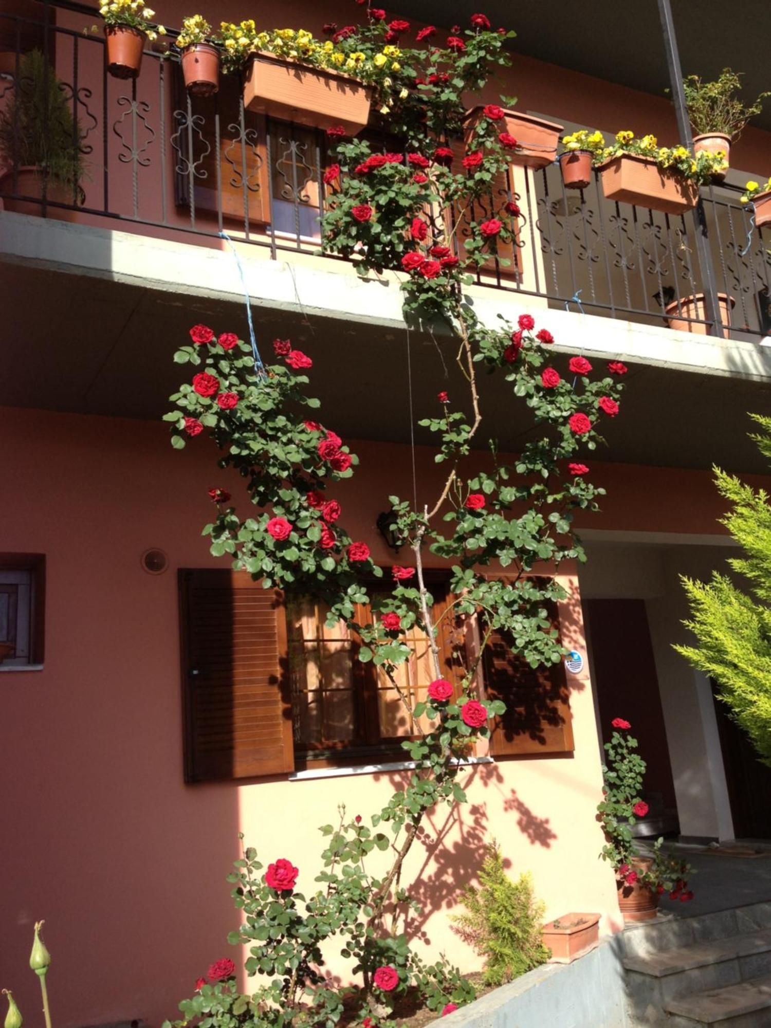 Artemis Apartments Konitsa Dış mekan fotoğraf