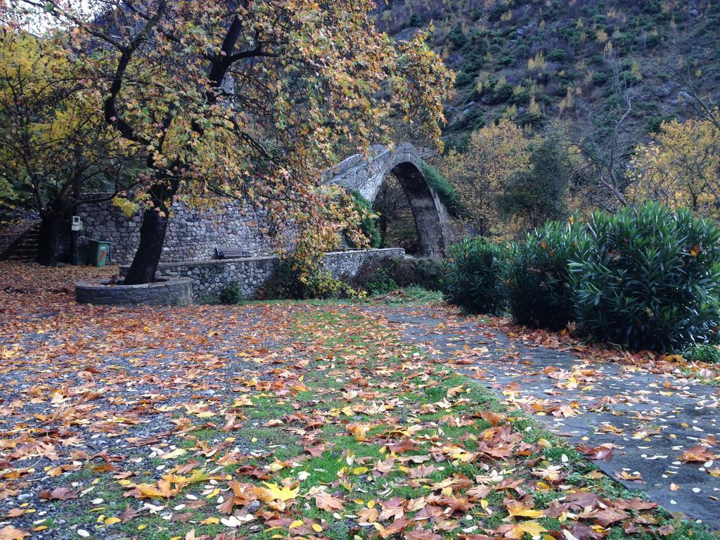 Artemis Apartments Konitsa Dış mekan fotoğraf