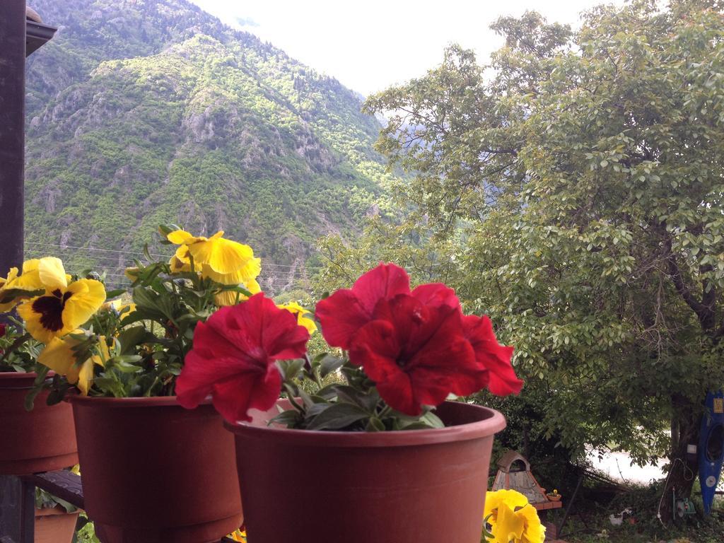 Artemis Apartments Konitsa Oda fotoğraf