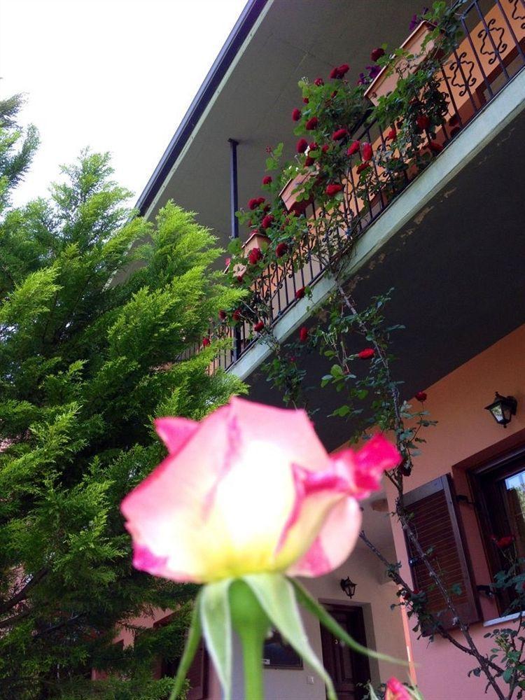 Artemis Apartments Konitsa Dış mekan fotoğraf